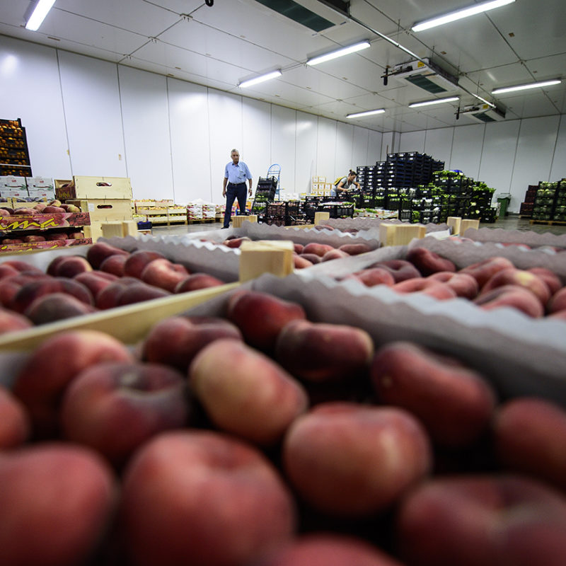 tharrosfruit-DSC_9100
