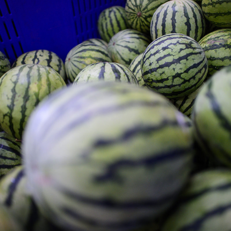 tharrosfruit-DSC_9198